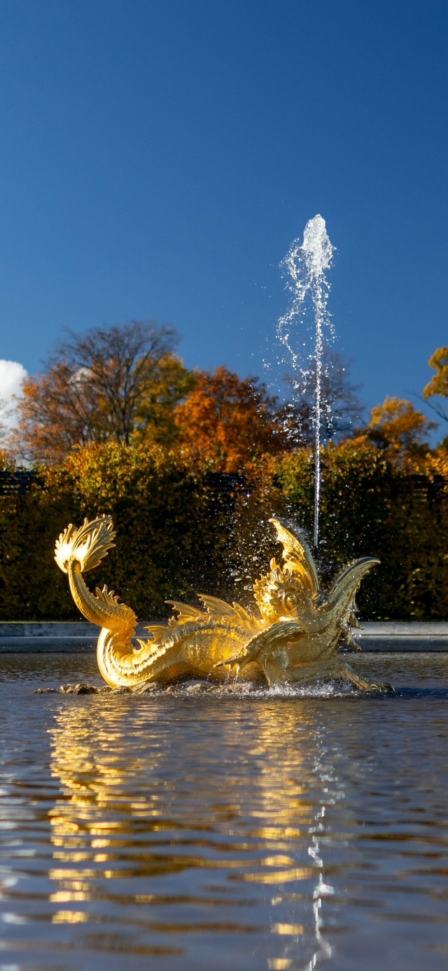 Заставки для ваших телефонов / ноябрь🍂
Источник: peterhof...