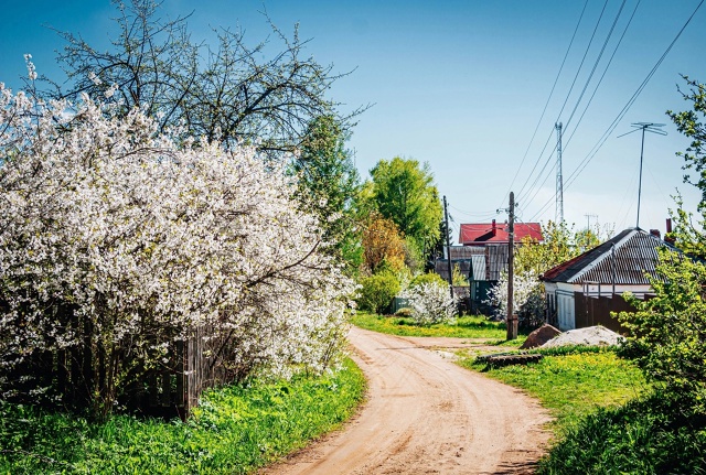 Лето в Ярославской области ☀
📷 Михаил Костров