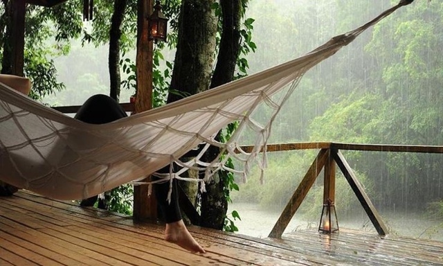 Настроение: слушать шум дождя и вдыхать аромат мокрых ?...