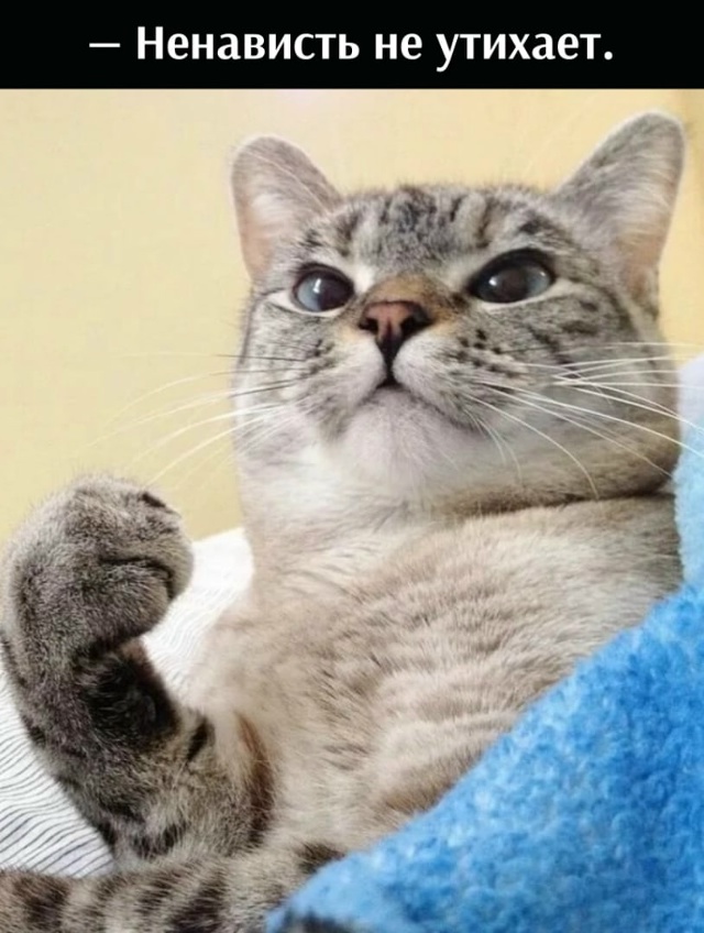 Легче не стало)