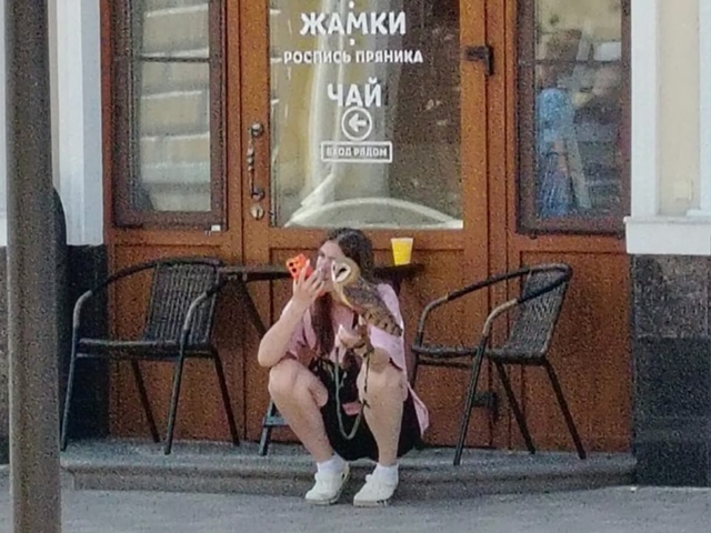 🆘КРОВАВЫЙ БИЗНЕС на крыльях! Совы умирают ради ваших ?...
