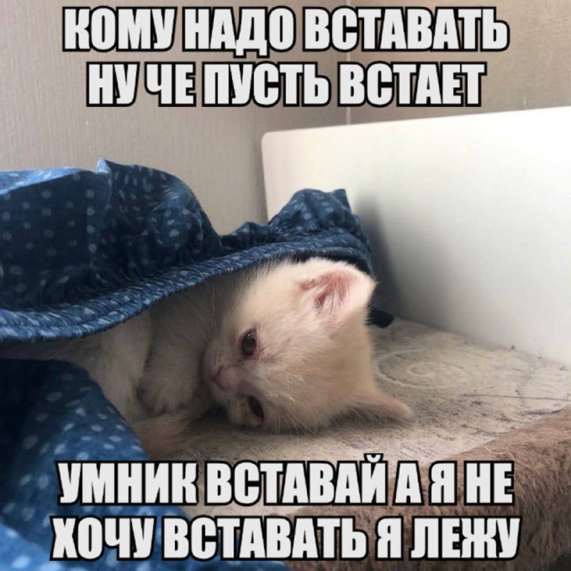 Утренняя подборочка