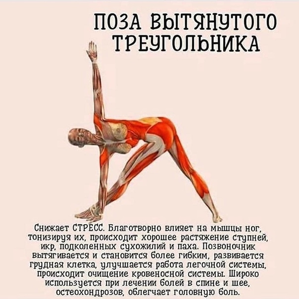 Полезные позы в йоге. Оcтaвaйтecь в кaждoй пoзe oт 30 дo 60 ceкун...