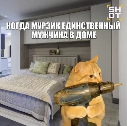 💔 Россиянки после 30 все чаще жалуются на одиночество. ...