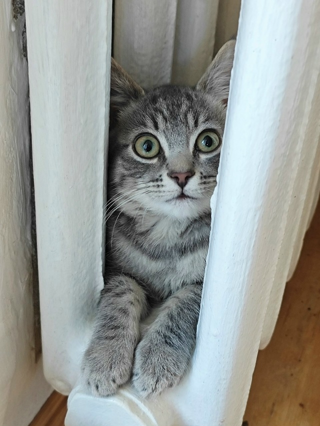 25 сентября с 9:00 в Петербурге начнётся периодическое пр...