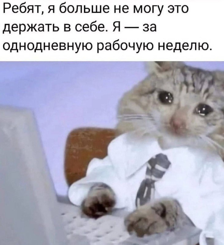 Утренняя подборочка