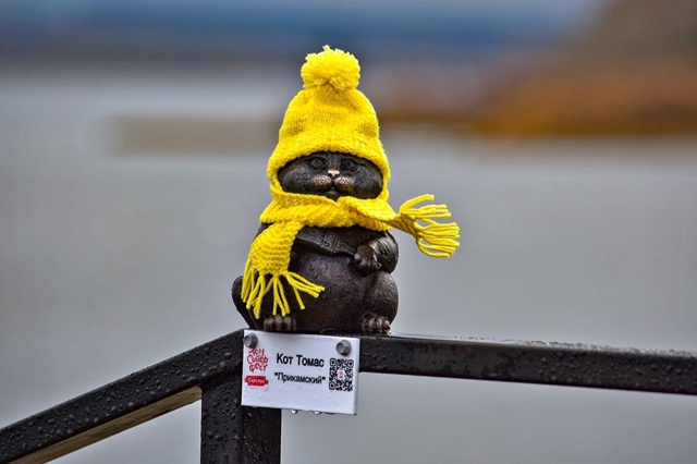 Сарапульские котики уже утеплились. А наши миниатюрки ...