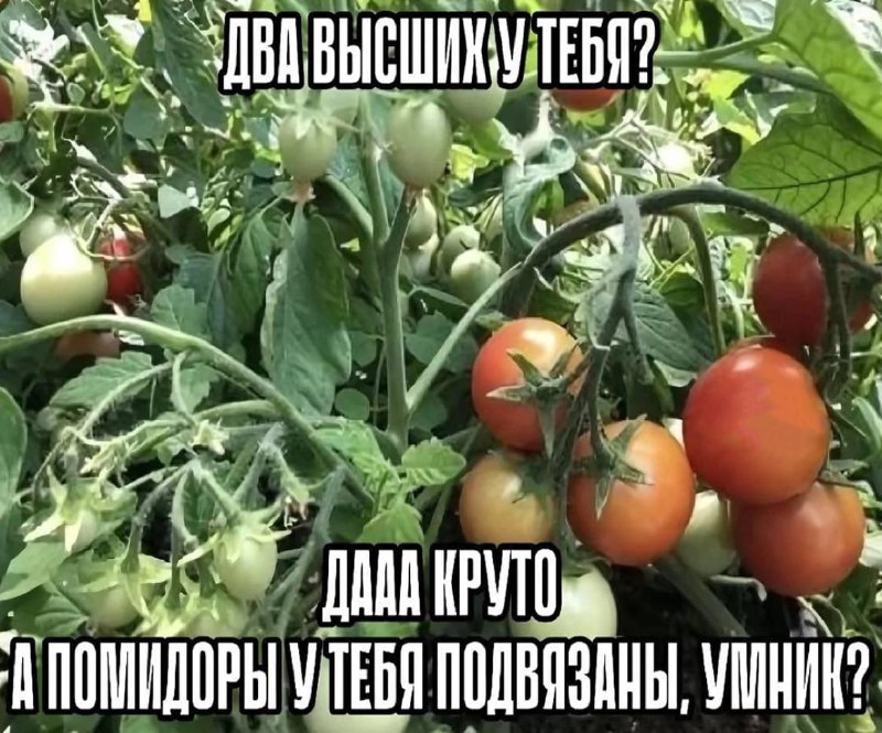 Утренняя подборочка