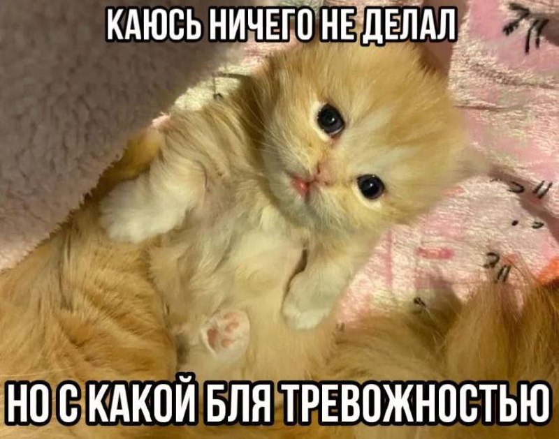 Утренняя подборочка