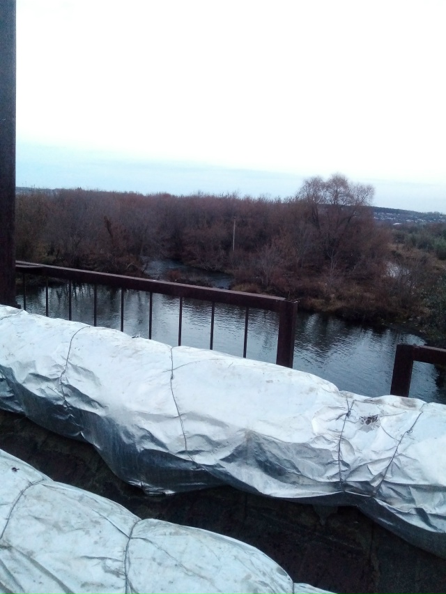 Немного позитива в ленту.На снимках-октябрь 2025 года на ...