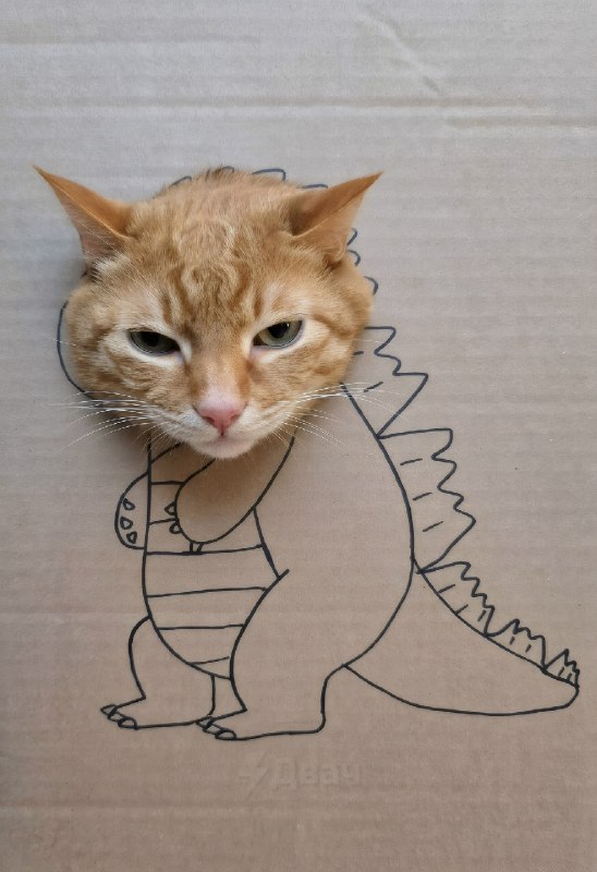 Внимание!
Котзилла.
Спасибо за внимание.