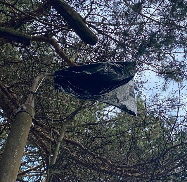 Пару лет назад подключили фонарь освещение от города, ?...