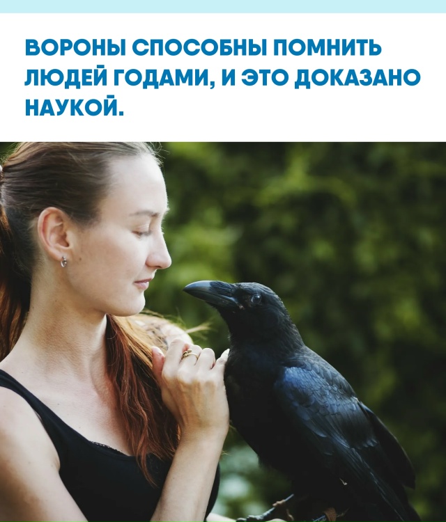 Мы привыкли считать, что память — это человеческое пре...