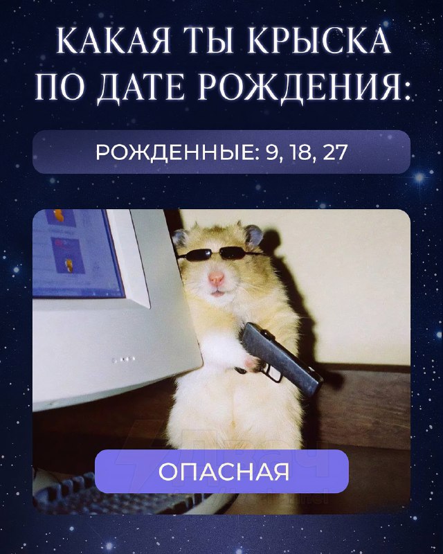 Российский нумеролог рассказал, какая вы крыса по дате рождения.
Ищем себя, отправляем друзьяшкам