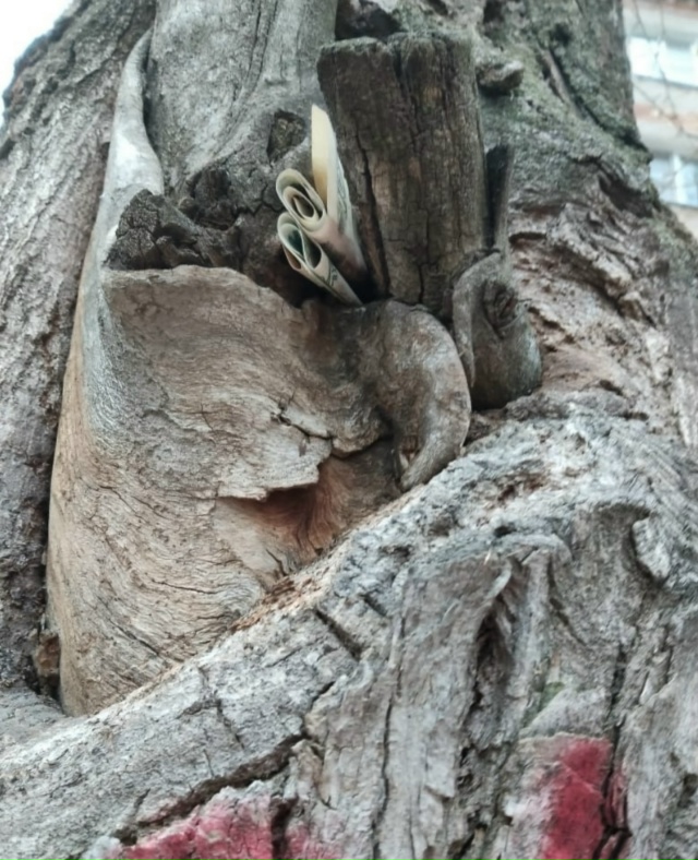 В Семилуках, на улице Чапаева, были обнаружены свернут?...