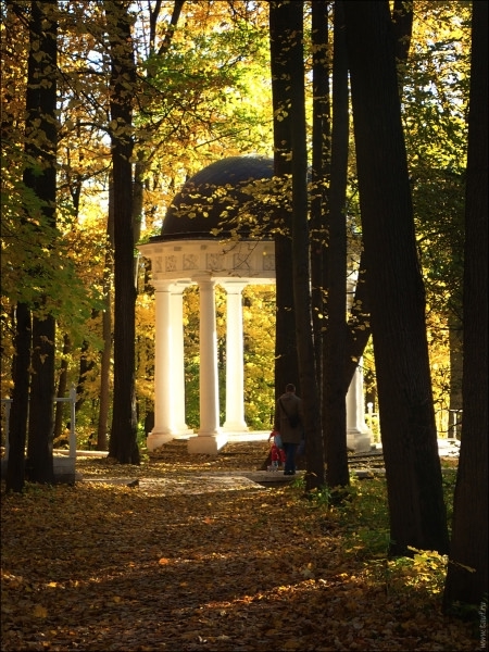 Суханово прекрасно всегда, но сейчас особенно!🍂
