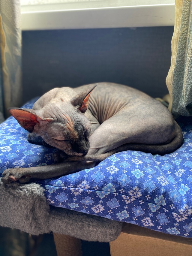 Джульке годик! ?
p.s. Последнее фото сделано в первый д?...