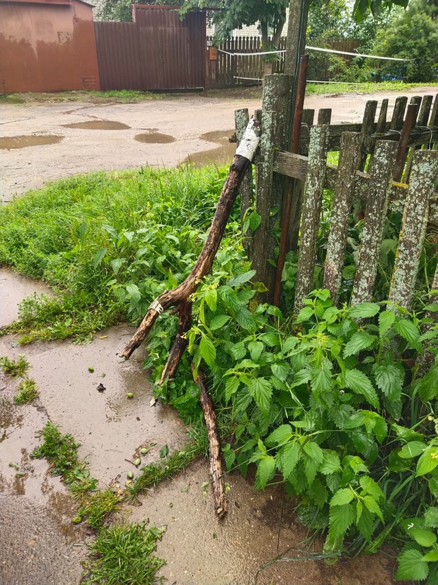 На придомовой территории дома 4 по улице Тмирязевская, ...