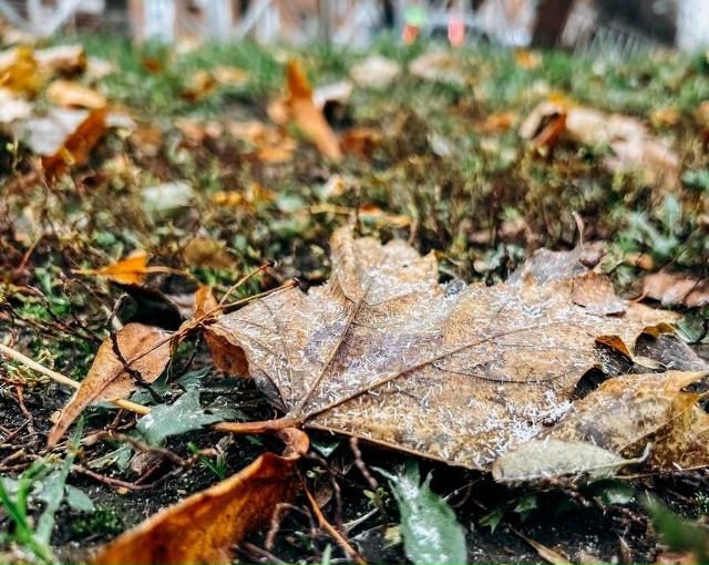 ❄ В Курской области 3 декабря ожидаются дождь, снег, ту?...