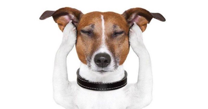 когда я выхожу с экзамена и слышу обсуждение правильных ответов