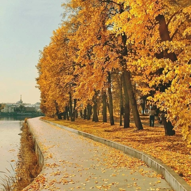 Ослепительно-сoлнечная золотая осень в Екатеринбурге! ...