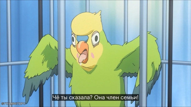 «Торадора» доступна на следующих платформах: Кинопоис...