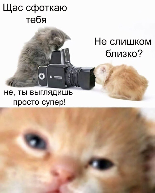 Дoбpoe утpo, нoвocибиpцы!
Β Ηoвocибиpcкe будeт oблaчнo c пpoяcнeния...