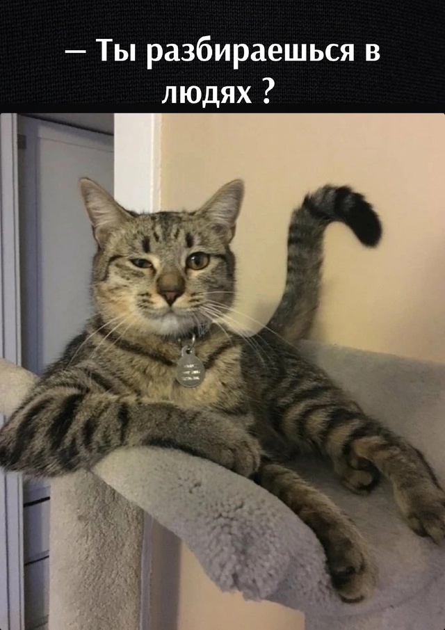 И правда❤