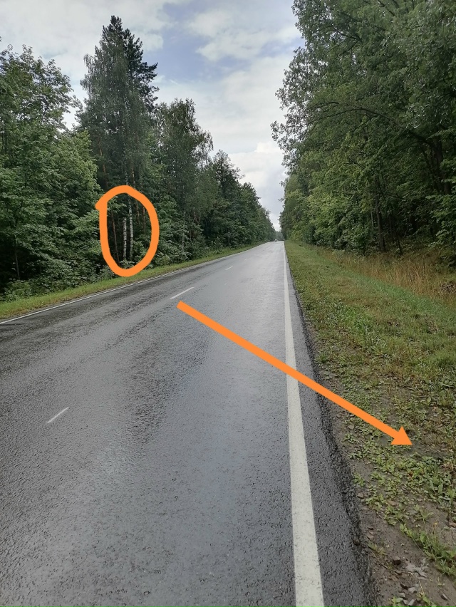 На развилке, в сторону Алтышево, в лес невозможно зайти...