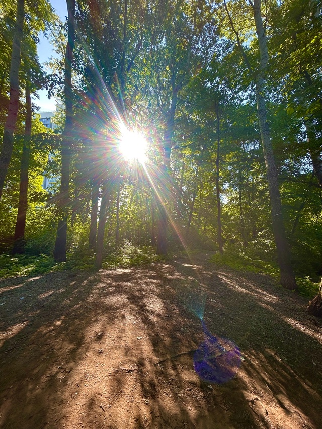 Доброе утро 🌲