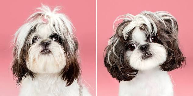 анон наверно
Добрый день! Как думаете, нужен ли в город?...