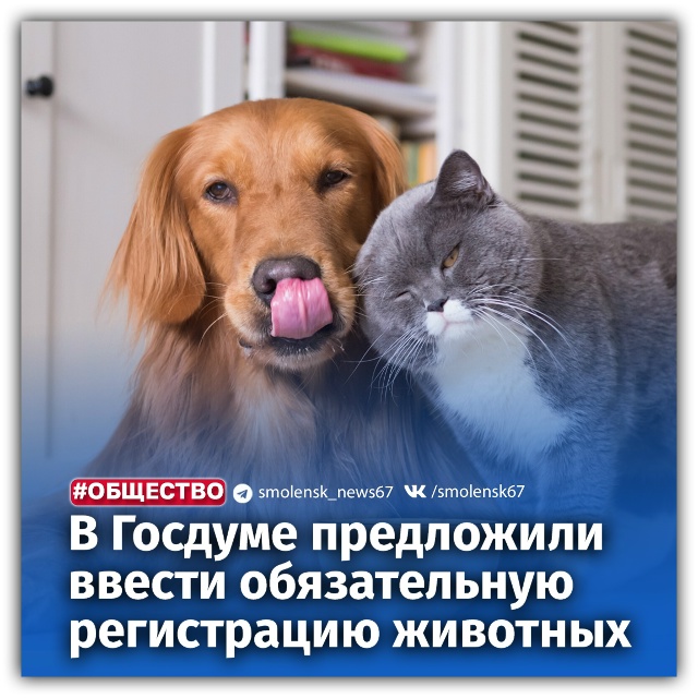 👉В Российской кинологической федерации считают, что ?...