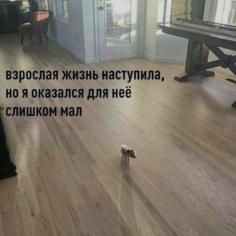 Ночная подборочка
Выходные, не спим
