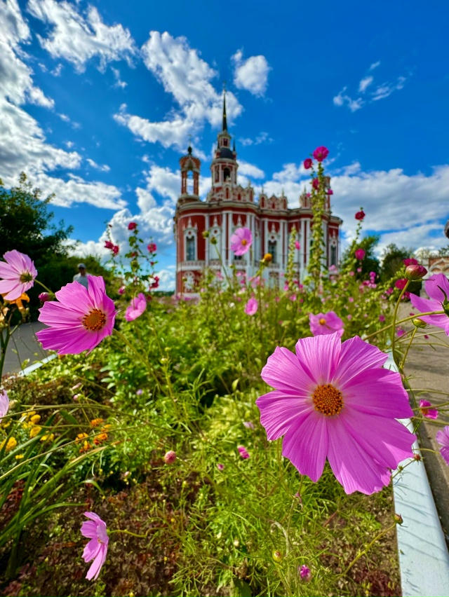Все прекрасное перед глазами 🌺
