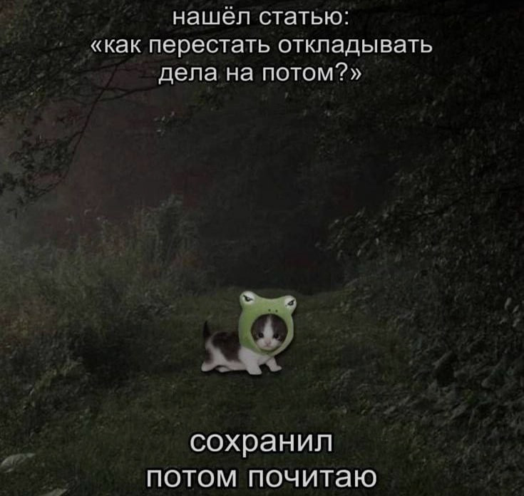 Ночная подборочка
Спать, режим