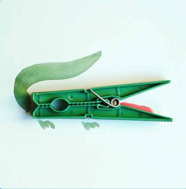 Когда прищепка – это крокодил Кто бы мог подумать, чт?...