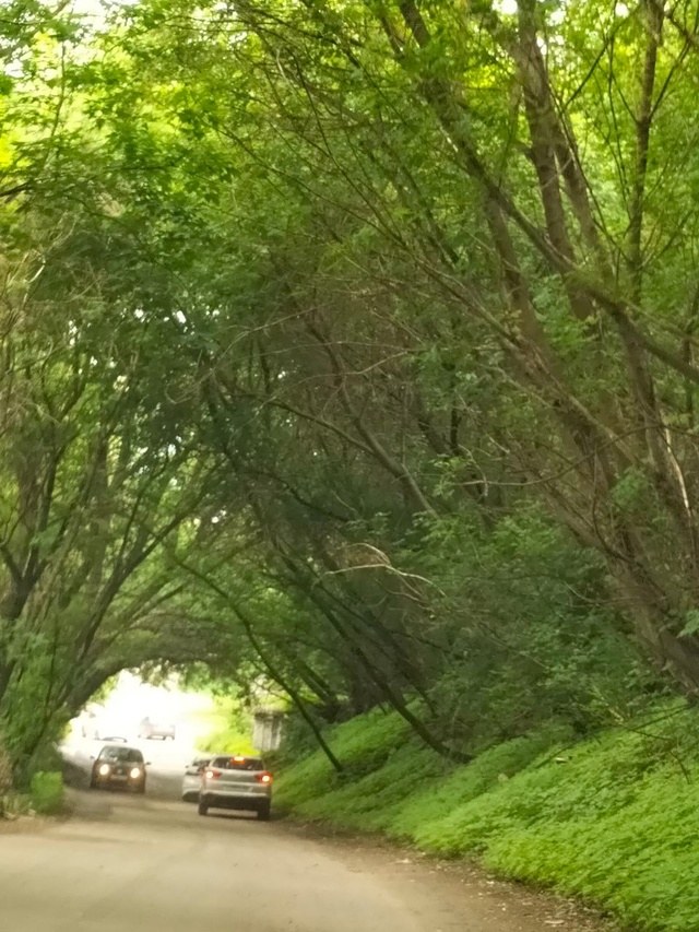 Руководство До-до где ДНС
Передайте своим ,,доставщика...