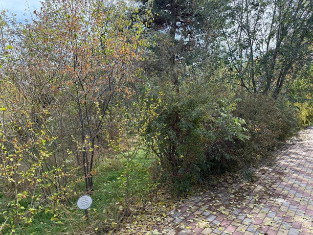 В рамках рабочего визита в Евпаторию министра экологи?...