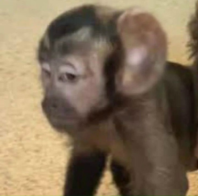 Изложите представленную информацию своими словами, не...