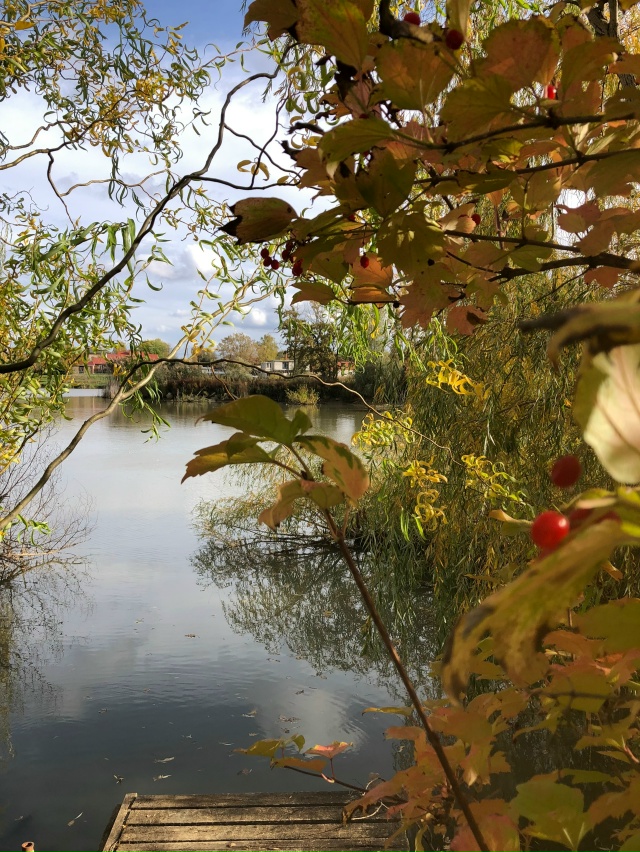 Поехали сегодня полюбоваться красивым озером. Там так ...