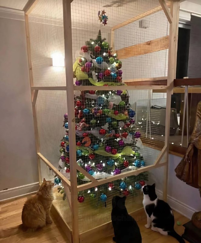 Такой вот какой ты, значит, человек, Наташа. С гнильцой.