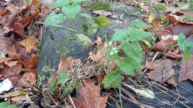 #КрасотыЛужскогоКрая