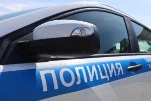 В Тамбове полиция задержала подозреваемого в порче ав?...