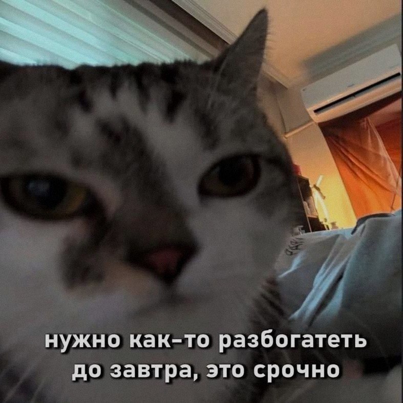 Ночная подборочка
Спать, режим