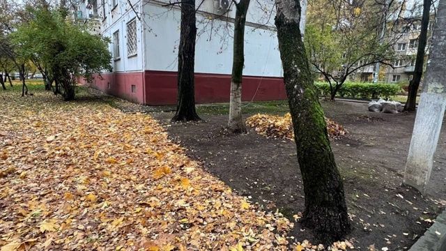 Граница благоустройства. Как вам больше нравится встр?...