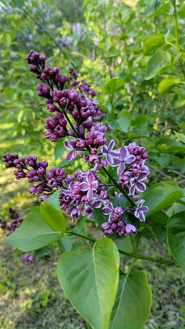 Отличная зима в этом году! На календаре декабрь, а в Кры...