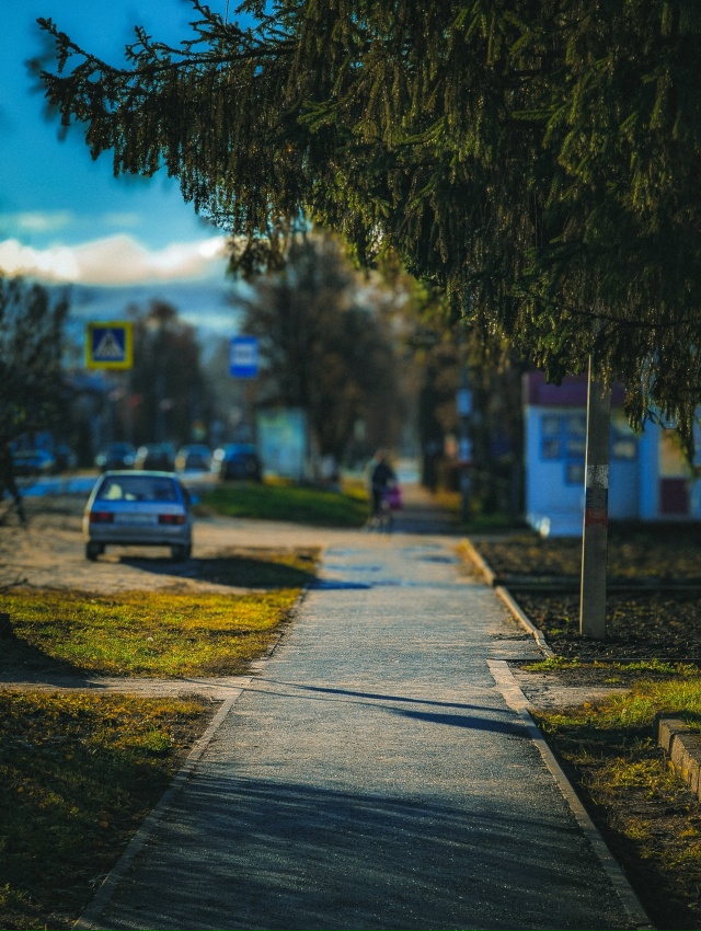 Ноябрь не спешит. Снято на мобильник.