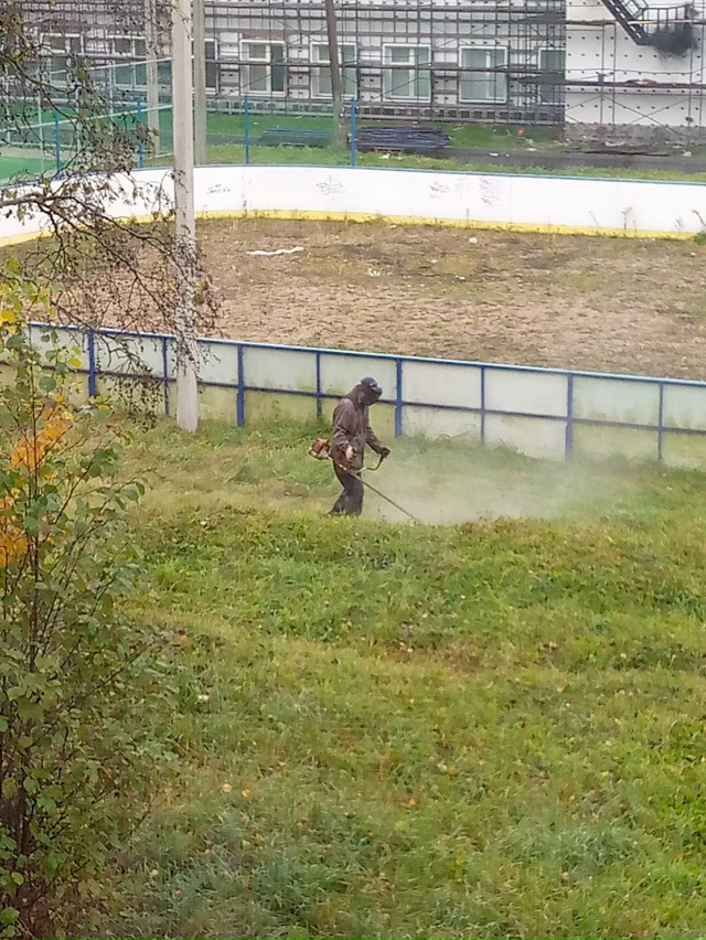 Два дня жужжит покоя не даёт и смысл не понятен.ч🤔🤔🙄