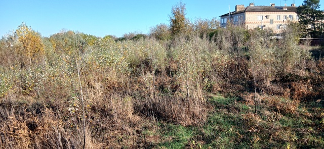 Анон.
Абинском видно не кто не занимается. Администрац?...