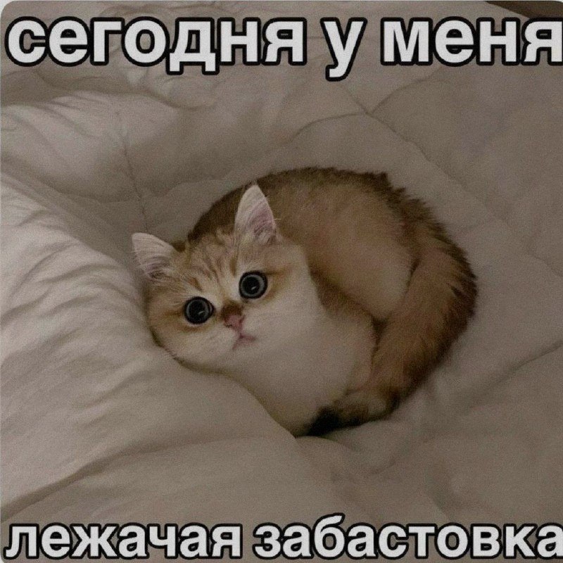 Ночная подборочка
Спать, режим